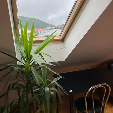 Vintage Maisonette In Center Apartment *